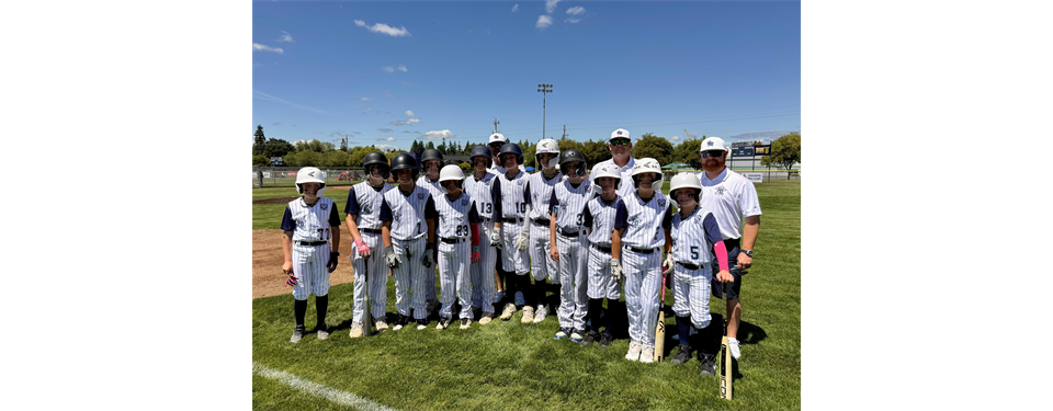 D6 Majors Baseball Tournament @HDLL