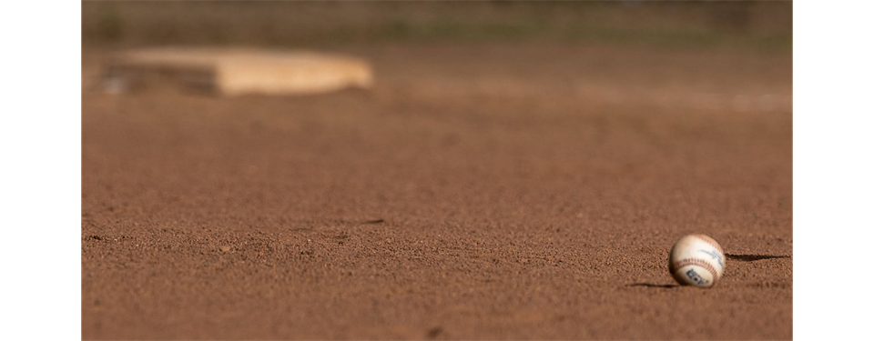 Work Party Sun Feb 22 @10am