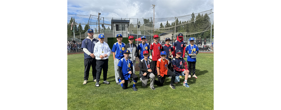 All-Star Majors